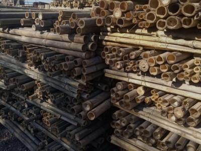 小林建材  T1 支撑竹竿   植树竹竿