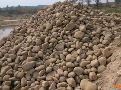 小石头 普通鹅卵石 建材石子产地批发  大小规格都有 量大从优