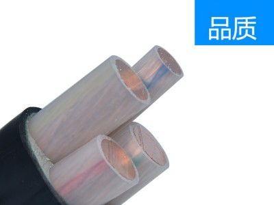 玉哲电线电缆YJV 2X240电缆YJV交联电力电缆建材材料电缆现货