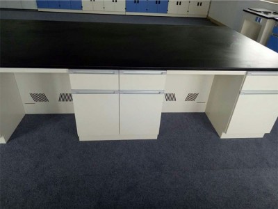 实验室家具 全钢实验室通风柜可定制化学pp实验室家具