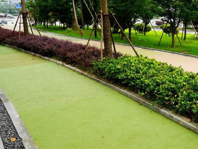 【世博建材】 安徽彩色透水混凝土地坪  彩色混凝土地坪漆