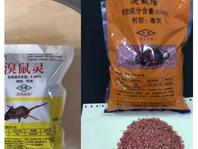 上海家居杀虫 上海灭蟑螂服务 上海家具白蚁