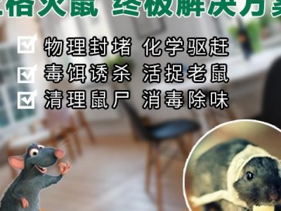 上海发现白蚁 上海消灭白蚁费用 上海家具白蚁