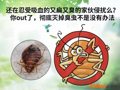 上海家具白蚁 上海白蚁公司 上海灭蟑螂剂