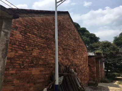 SY崇左路灯灯杆丨景观灯杆制造商