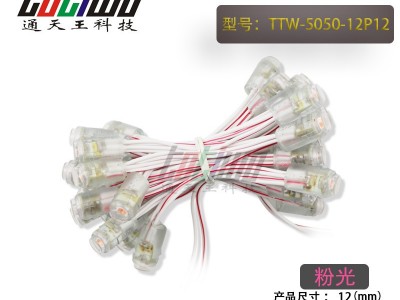 供应12V12MM粉红光外露灯串 贴片5050广告灯串 穿孔字灯串 LED外露灯串 LED灯串 led外露灯串