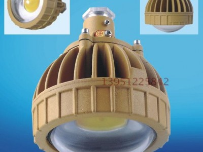 免维护LED防水防尘防腐节能灯BRE8628免维护LED防爆泛光灯 防爆灯厂家 LED节能灯 防爆灯厂家