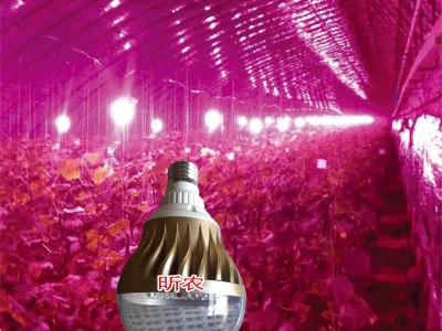 LED植物灯 植物补光灯 大棚生长灯 大棚灯  25W  进口