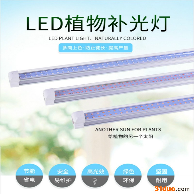 LED植物灯-LED植物生长灯-t8植物生长灯管0.6米9W植物灯管18w双排植物灯管蓝莓补光灯生长灯