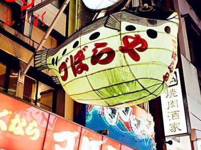 春节彩灯花灯制作公司  大型LED发光灯制作   自贡彩灯出租