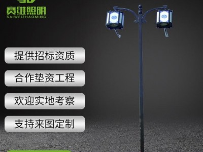 赛维专业生产Led景院灯 仿古庭院景观灯 太阳能庭院灯 双臂庭院景观灯