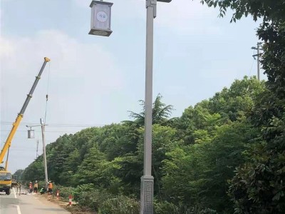 博达成001 异形灯**景观灯异形灯LED户外灯道路灯单臂仿古路灯，异形路灯杆