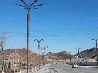 异形灯 景观灯异形灯LED户外灯道路灯单臂仿古路灯，异形路灯杆