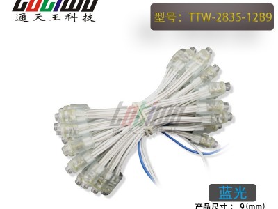 供应12V9MM蓝光外露灯串 贴片2835广告灯串 穿孔字灯串 LED外露灯串 LED灯串 led外露灯串