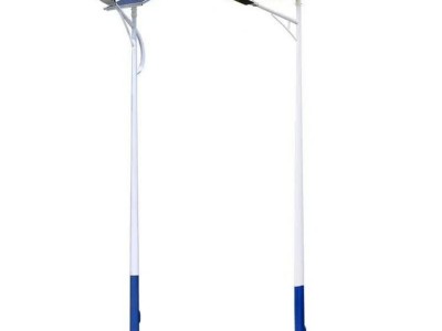 百色特色庭院灯杆丨路灯灯杆参数价格