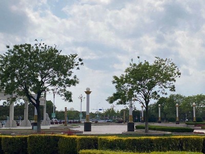 光宇001 户外LED太阳能庭院灯欧式庭院灯小区园林别墅玉兰灯景观灯定制