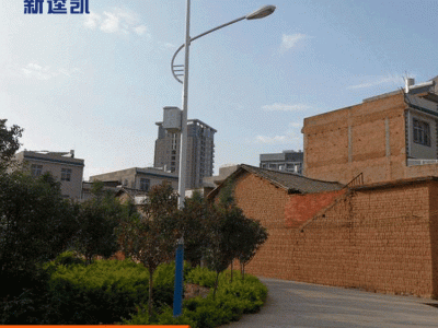 专业生产 LED灯具 路灯**款式灯具