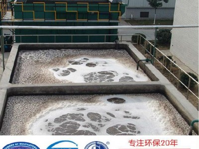 山东皮革加工废水处理设备 一体化污水处理成套设备