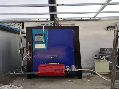 多项保护性能稳定纺织印染 高温燃油燃气蒸汽发生器