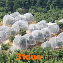 山东防虫网 飞越纺织 山东防虫网生产厂家 可定制加工各种规格现货直供