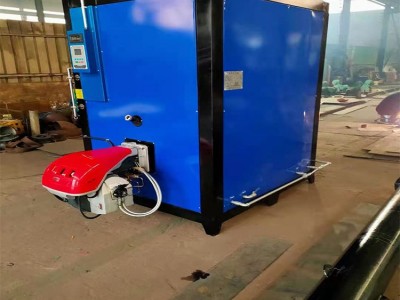 燃气蒸汽发生器 纺织模具高温燃油气蒸汽发生器