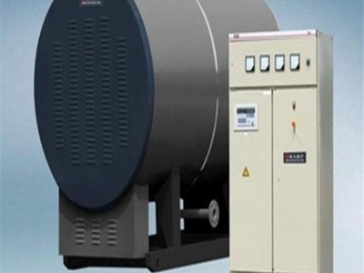 鲁通CWDR陕西韩城环保清洁电热锅炉 纺织印染造纸用电热蒸汽锅炉