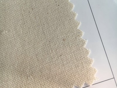 瑞昌纺织现货本白色全棉8安21/2*10珠帆布鞋材箱包靠枕面料