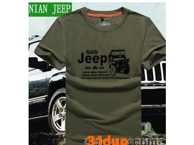 优惠 2015卡狮戴尔服饰夏季新款圆领短袖纯棉男士T恤 休闲加大加肥T恤男装厂家批发