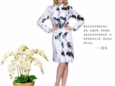 圣地服饰供应2017夏季新款女装欧美圆领短袖系带钉珠绣花收腰气质 真丝连衣裙 圣地服饰