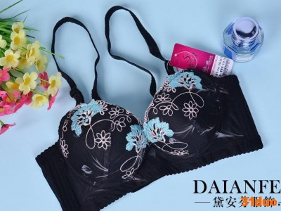 黛安芬服饰/思意芳2012新款按摩调整型内衣/文胸批发 内衣加盟*