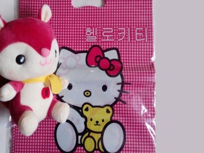 **服装店手提袋 韩版女装服饰包装袋pe胶袋饰品袋可定做