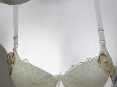 **黛安芬服饰/舒意劳2118调整型珍珠水袋按摩磁疗内衣文胸批发*