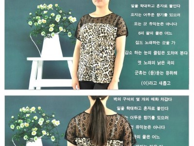 供应盛宇服饰体恤衫批发