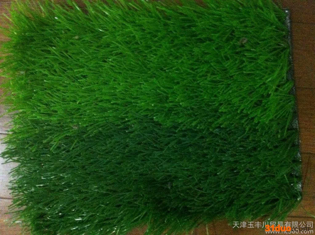 供应人造草坪PVC地面PVC/PE建筑建材