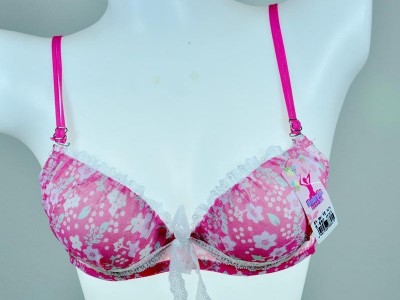特价内衣黛安芬服饰/比比拉8841中杯透气调整型少女内衣文胸批发*