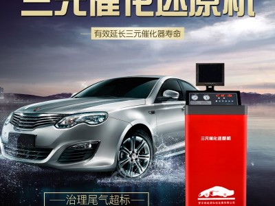 罗孚汽车三元催化清洗机