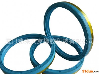 台湾FDS油封重汽配件奥威后轮油封一体两唇带O圈175*200*24