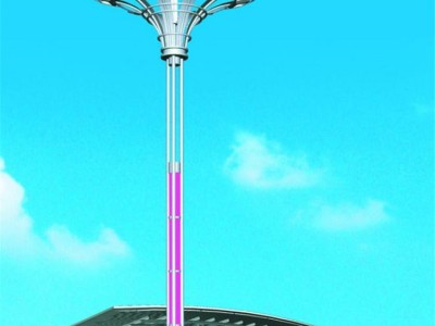 球场照明灯杆 球场照明灯杆生产厂家 200WLED灯杆灯柱