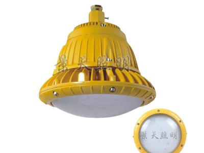 ZY8165防爆LED照明灯壳体配件湖南娄底市