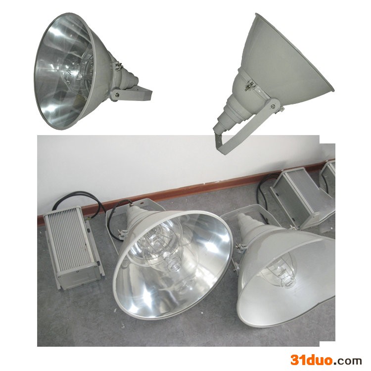 ZY8300,ZY8310分体式景天照明