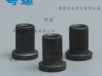 厂家 生产定制螺母 异形非标螺母 东莞冷镦五金多边形螺母 定制螺帽