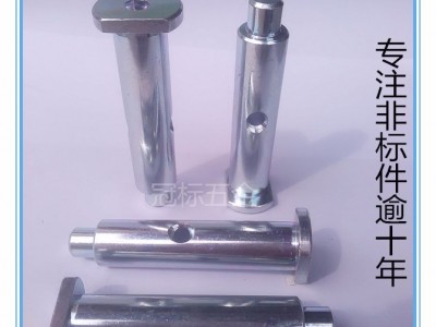 汽车紧固件 汽标件 汽车门窗五金件 汽车固定转轴 六方轴 定制非标轴厂家 东莞汽件标生产厂家