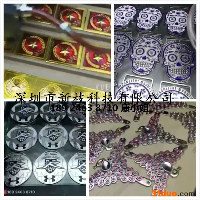 广东新枝科技 五金滴油机器饰品点漆设备钥匙扣自动点胶机 自动点漆机器