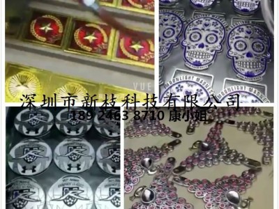 广东新枝科技 五金滴油机器饰品点漆设备钥匙扣自动点胶机 自动点漆机器