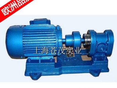 机床齿轮油泵 机械齿轮泵 2CY-38/2.8-2不锈钢 轻便