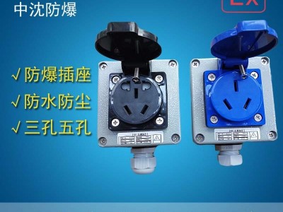 中沈防爆AC15 防爆插座插头 三孔五孔防水防尘防爆插座  ** 工业插座 86型 明装暗装