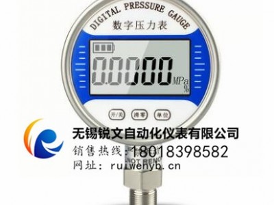 RIVAN/锐文 数字压力计  压力数显仪表 精密数字压力计