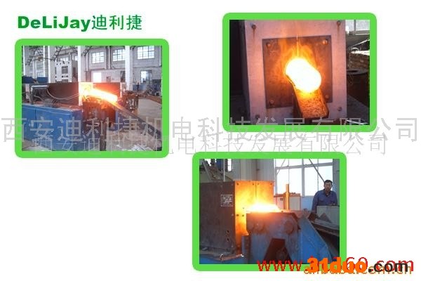 供应dlj供应中频炉