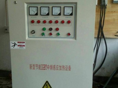 瑞通  中频感应炉