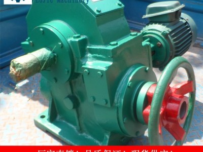 RZS531-2.2 RZS系列中频电炉专用蜗轮蜗杆减速机 电炉减速机 炉排减速机 蜗轮减速机 蜗轮蜗杆减速机 减速器